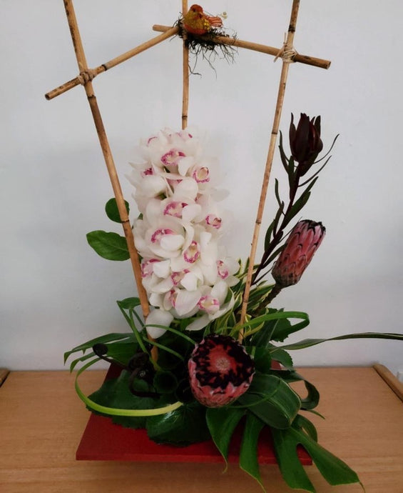 Orchids & Proteas