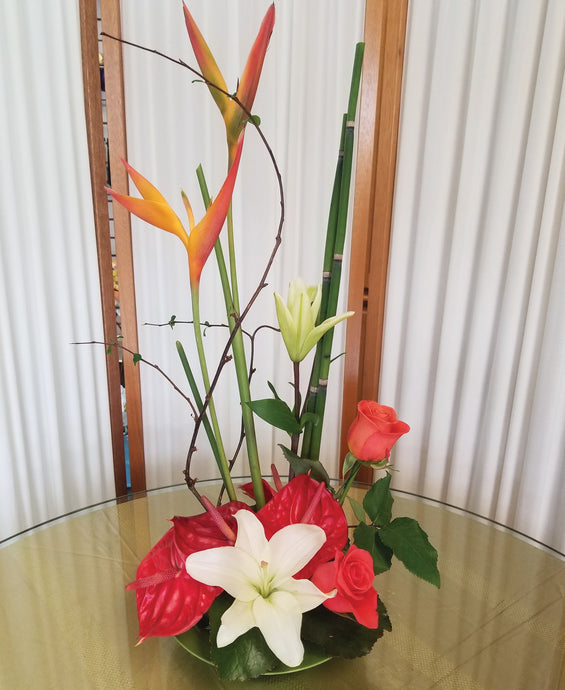 Simply Tropical